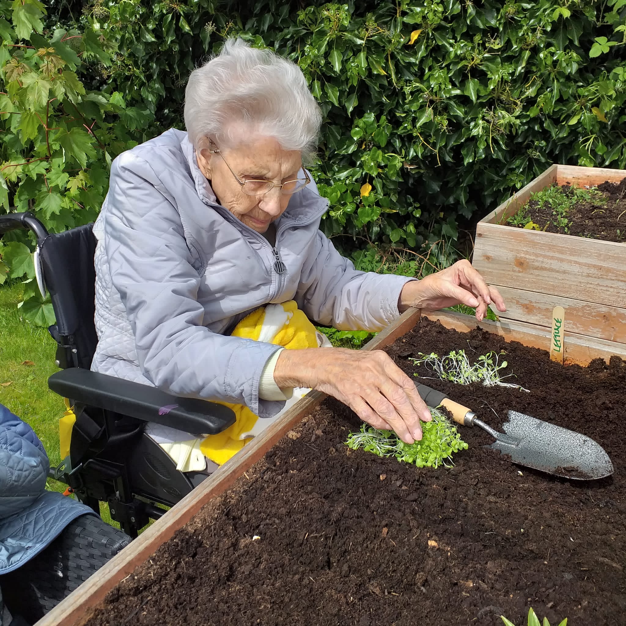Residents Helping to Plant Cress